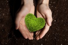 阴宅风水三大主要原则