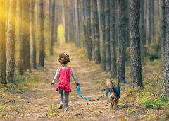 破除小人的风水饰品