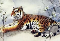 1974年属虎的人2019年运势大全及破解