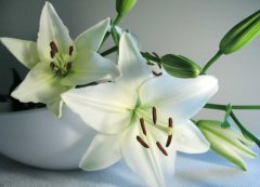  2019年3月1号出生的双胞胎男孩如何起名,五行属什么