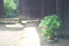 姓於的男孩名字大全 於姓男孩起名