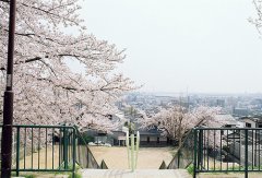2017姓湛的男孩名字大全 属鸡湛姓男宝宝起名
