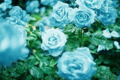 姓司空男孩三个字名字大全 司空姓3个字男宝宝起名
