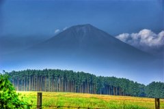 姓哈男孩三个字名字大全 哈姓3个字男宝宝起名