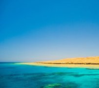 茶厂名字好听有创意