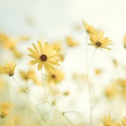 投资公司名字好听有财运