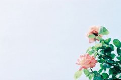 狗年姓李男孩名字大全 属狗李姓男宝宝起名2018