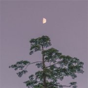姓甘男孩名字有诗意