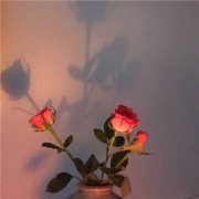 姓申男孩名字有诗意