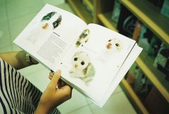 姓柳女孩三个字名字大全 柳姓3个字女宝宝起名