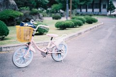 姓邹女孩三个字名字大全 邹姓3个字女宝宝起名