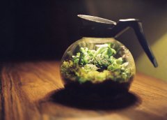 姓梁女孩三个字名字大全 梁姓3个字女宝宝起名