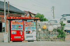 洋气的姓晏女孩名字大全