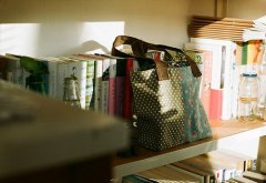 洋气的姓欧阳女孩名字大全