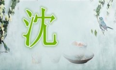 沈姓女孩取名大全2019属猪