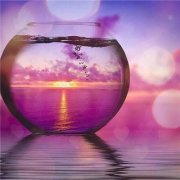 狗年姓诸女孩名字大全 属狗诸姓女宝宝起名2018