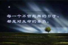 姓钮女孩名字有诗意