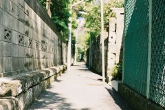 姓郁霸气的女孩名字