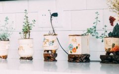 狗年宝宝起名要注意哪些 2018年属狗宝宝起名宜忌
