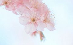 怎样给狗年女宝宝起名 属狗女孩起名方法