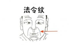 面相之法令