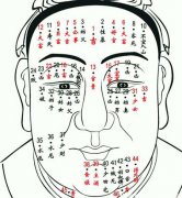 脸上长痣面相图男