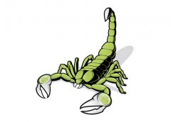 天蝎座2019年运势详解