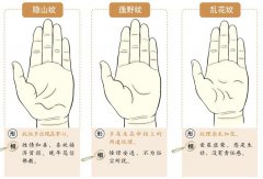 图解手相之掌纹篇