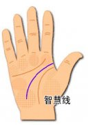 手相透视你的智慧才干