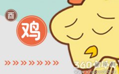 属鸡人坚持相信爱情的原因是什么