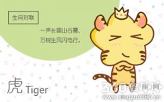 决战职场 属虎人靠得是什么