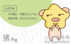2018最新属猪人难追排行榜