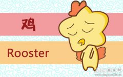 属鸡人会因为什么去外面沾花惹草