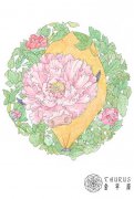 金牛座的星座守护花是什么？