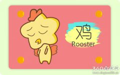 属鸡人面对爱情时最怕什么