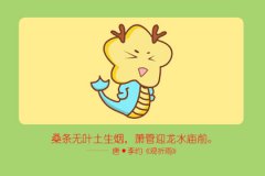 1976年属龙人一生婚姻如何 婚姻分析
