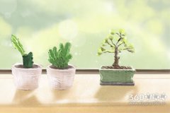 十二生肖虎的性格特征是什么？
