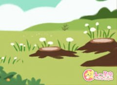 泓翔老师2017年生肖马运程完整版