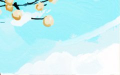 浮图塔2016年12月生肖鼠运势
