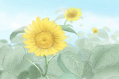 属龙人2017年6月整体运势