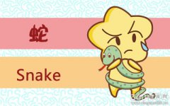 家人施压就会勉强自己和异性交往的生肖