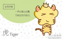 生出的小孩会成为天才的五大生肖女