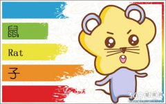 逆来顺受 不懂得拒绝的生肖