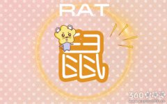 十二生肖容易因什么事情而失去理智