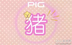 1983年属相婚配 属猪人的幸福对象