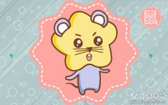 活泼的生肖从不缺少谁的关爱