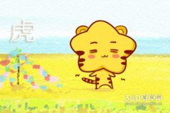 专门解析2019年适合怀孕的生肖有哪些