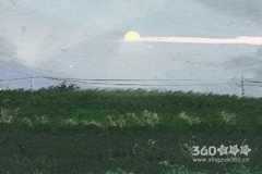 罗镇老师2017年5月生肖猪运势