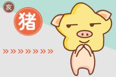 属猪女和属龙男相配吗 男龙女猪的属相婚配