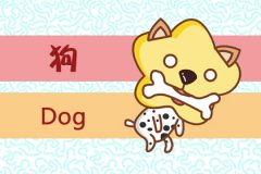 长得太好看 让人不得不爱的生肖女